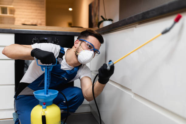 Best Flea Control Services  in Delhi, CA