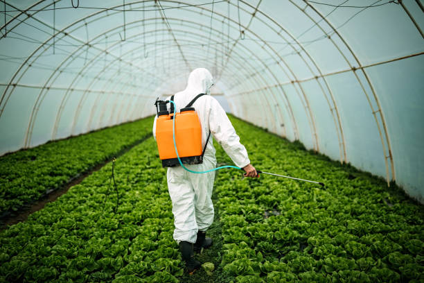 Best Wildlife Control Services  in Delhi, CA