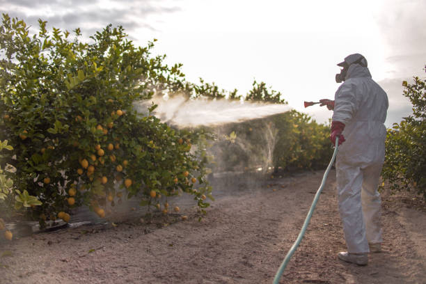 Reliable Delhi, CA Pest Control Solutions