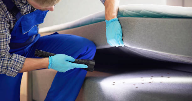 Best Residential Pest Control  in Delhi, CA