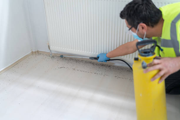 Wasp Removal Services in Delhi, CA